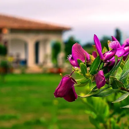Agriturismo Tenuta Portararo *
