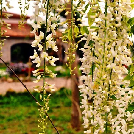 Agriturismo Tenuta Portararo Farm stay Casal Velino
