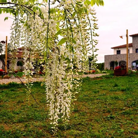 Agriturismo Tenuta Portararo