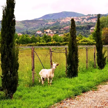 Farm stay Agriturismo Tenuta Portararo